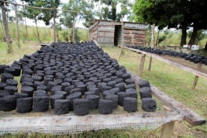 charcoal briques